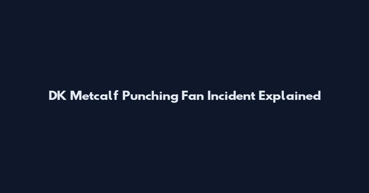 DK Metcalf Punching Fan Incident Explained