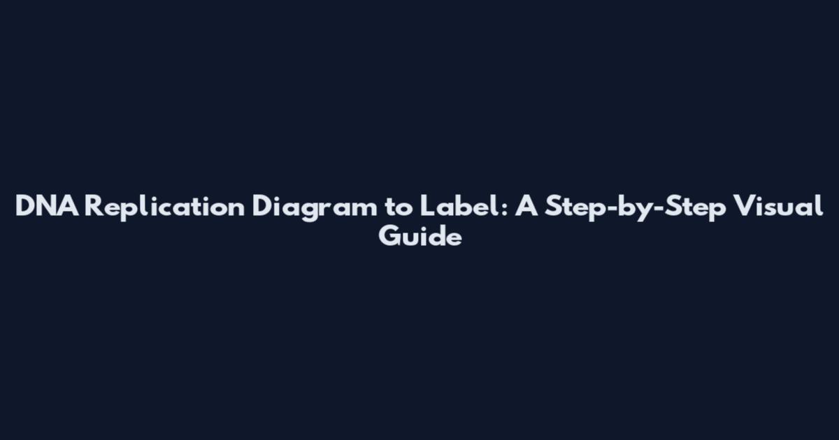 DNA Replication Diagram to Label: A Step-by-Step Visual Guide