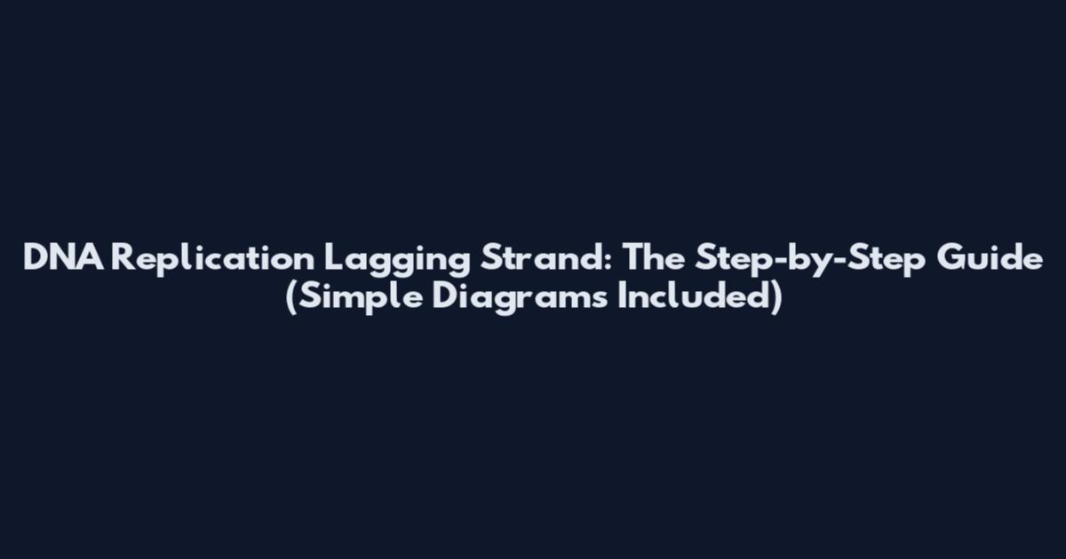 DNA Replication Lagging Strand: The Step-by-Step Guide (Simple Diagrams Included)