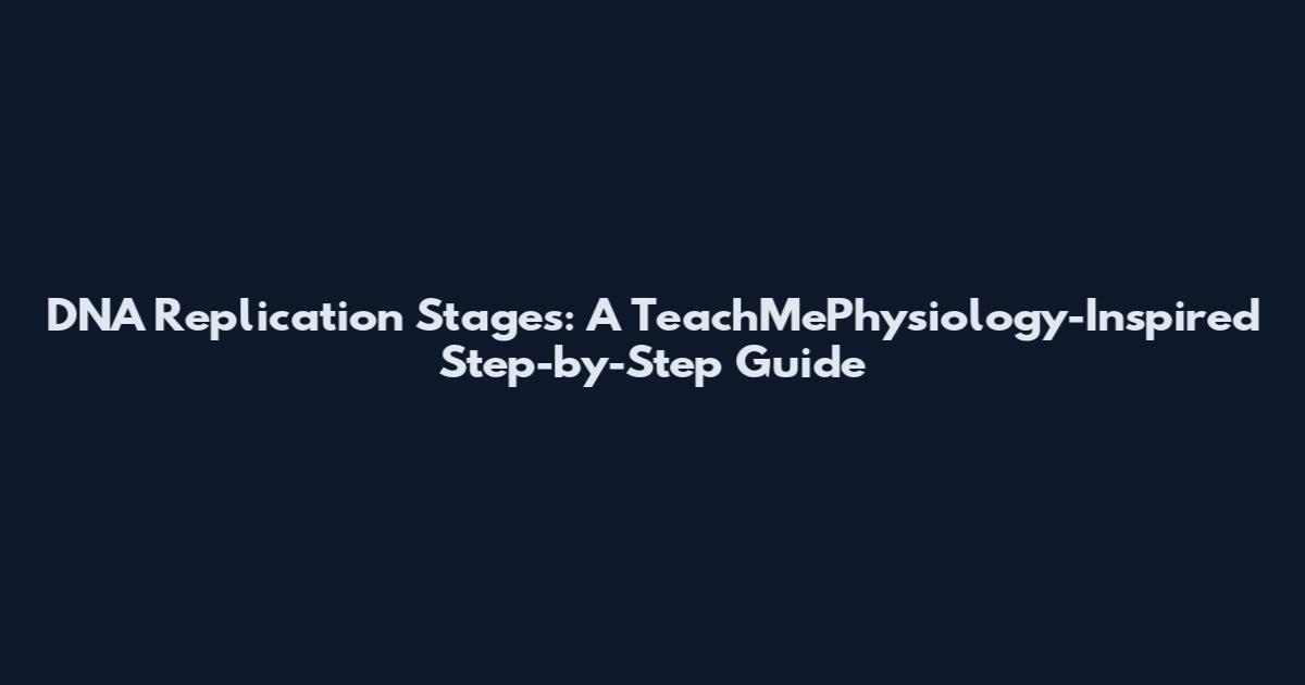 DNA Replication Stages: A TeachMePhysiology-Inspired Step-by-Step Guide