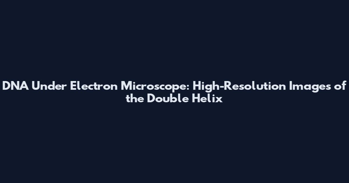 DNA Under Electron Microscope: High-Resolution Images of the Double Helix