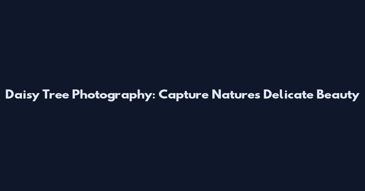 Daisy Tree Photography: Capture Nature's Delicate Beauty