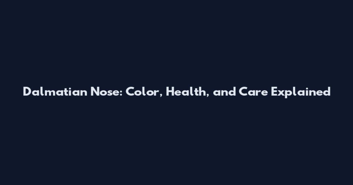 Dalmatian Nose: Color, Health, and Care Explained