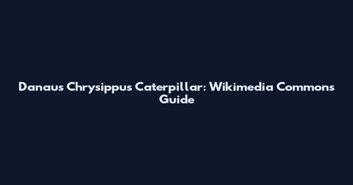 Danaus Chrysippus Caterpillar: Wikimedia Commons Guide