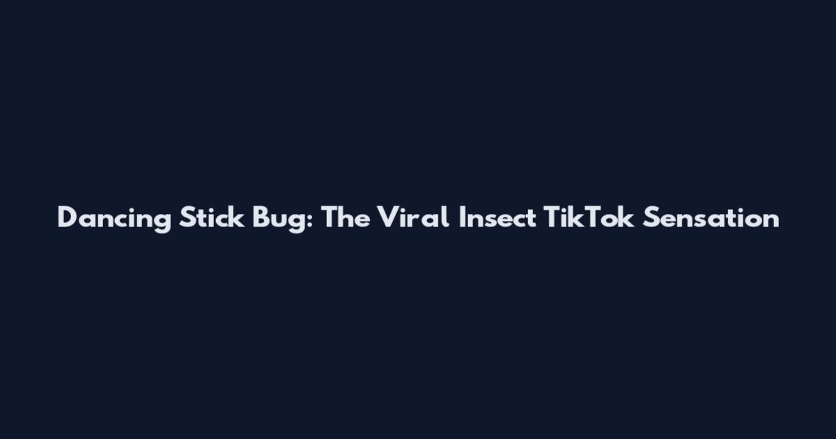Dancing Stick Bug: The Viral Insect TikTok Sensation