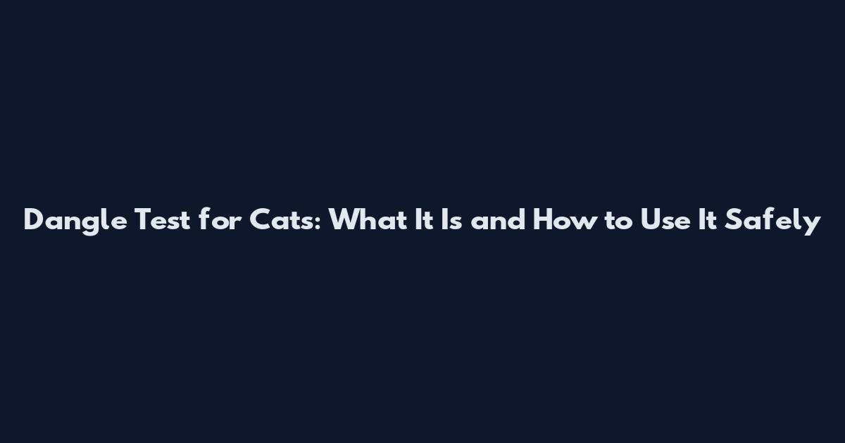 Dangle Test for Cats: What It Is and How to Use It Safely