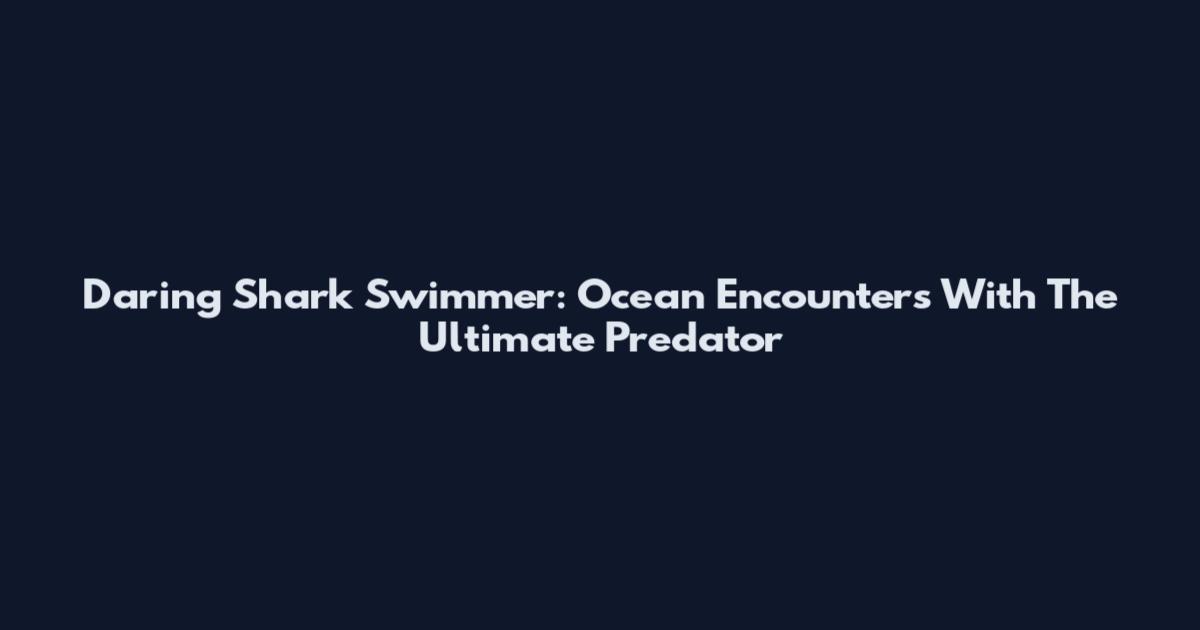Daring Shark Swimmer: Ocean Encounters With The Ultimate Predator