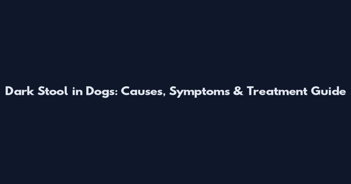 Dark Stool in Dogs: Causes, Symptoms & Treatment Guide