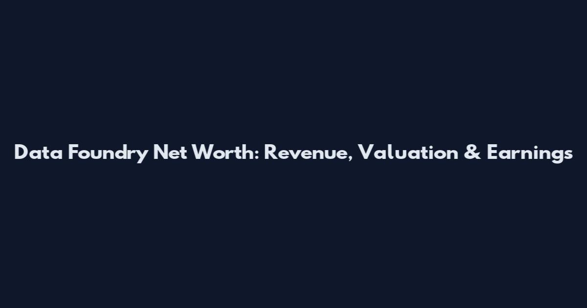 Data Foundry Net Worth: Revenue, Valuation & Earnings