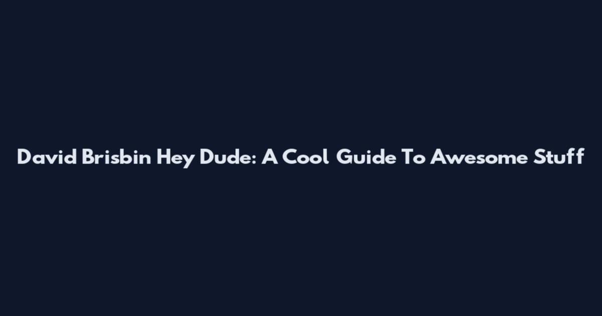 David Brisbin Hey Dude: A Cool Guide To Awesome Stuff