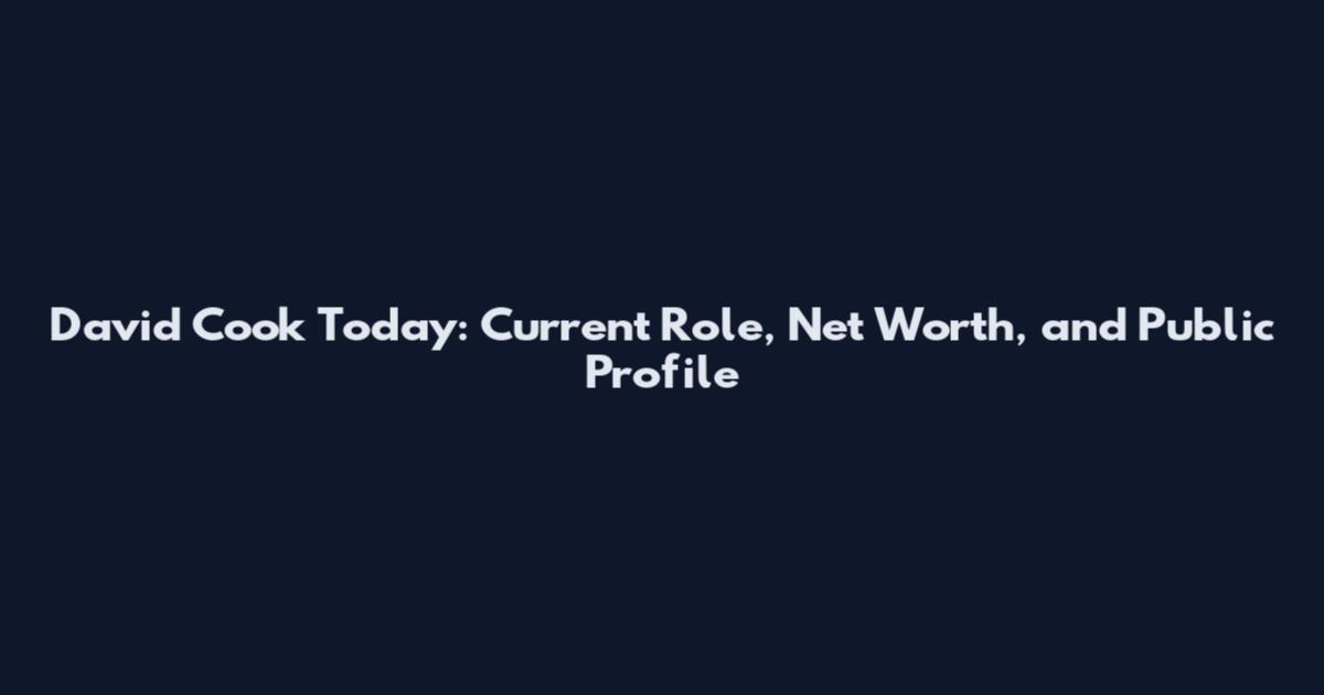 David Cook Today: Current Role, Net Worth, and Public Profile