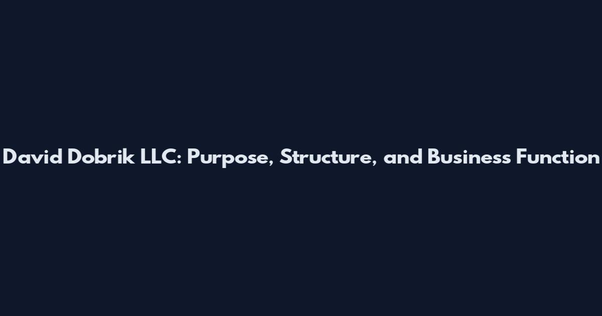 David Dobrik LLC: Purpose, Structure, and Business Function
