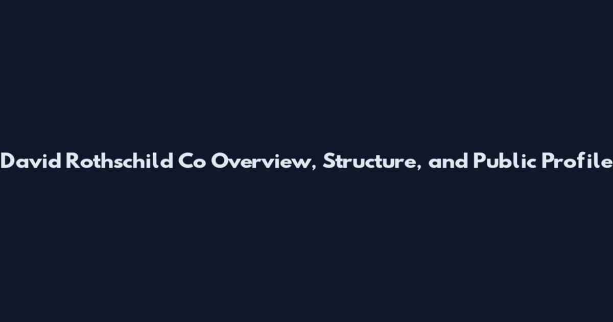 David Rothschild Co Overview, Structure, and Public Profile