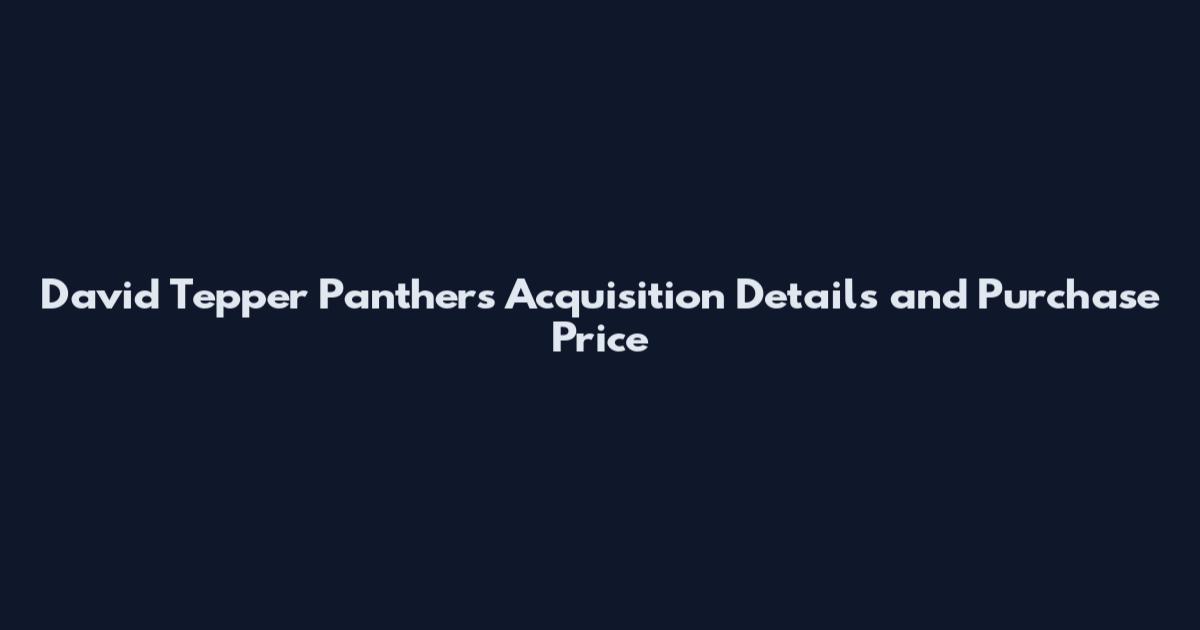 David Tepper Panthers Acquisition Details and Purchase Price
