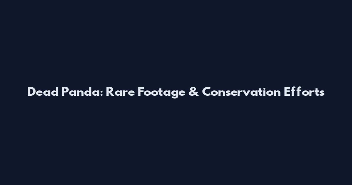Dead Panda: Rare Footage & Conservation Efforts