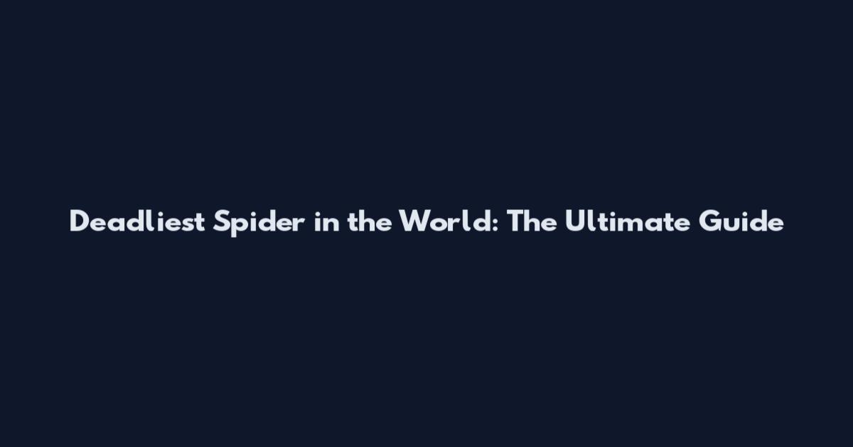 Deadliest Spider in the World: The Ultimate Guide