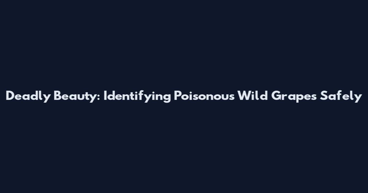 Deadly Beauty: Identifying Poisonous Wild Grapes Safely