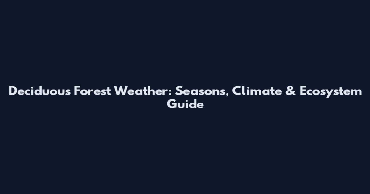 Deciduous Forest Weather: Seasons, Climate & Ecosystem Guide