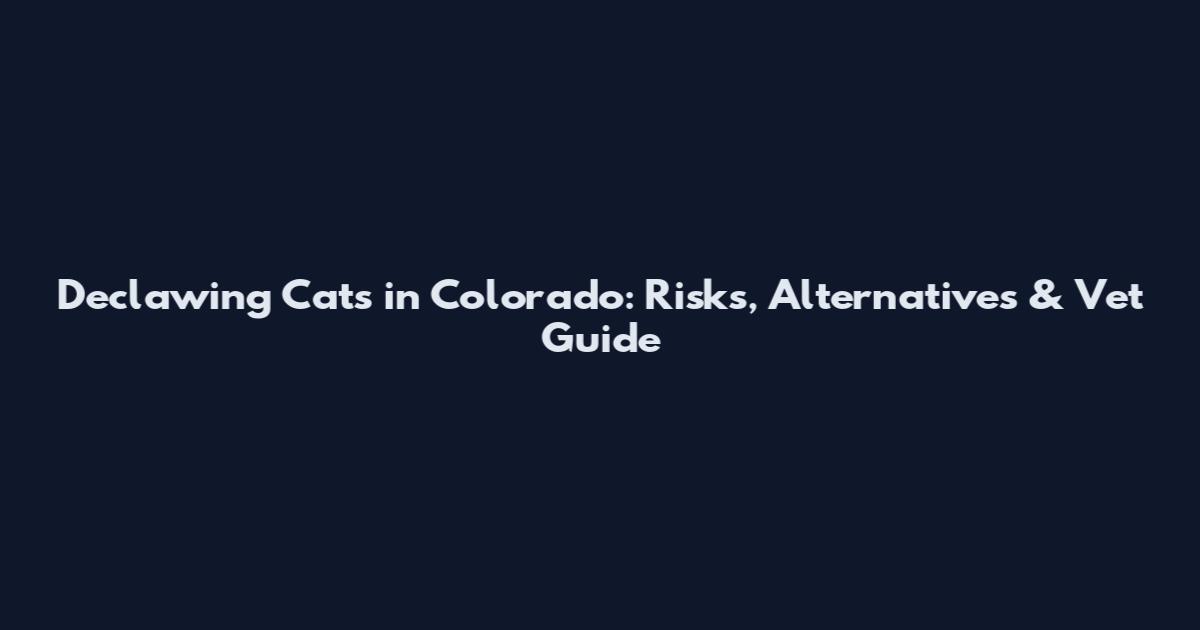Declawing Cats in Colorado: Risks, Alternatives & Vet Guide