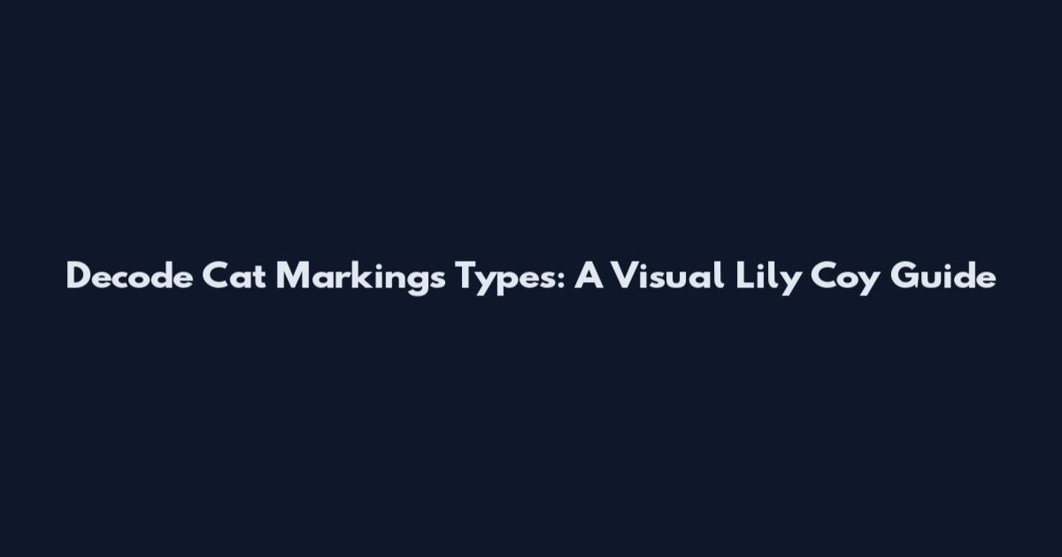 Decode Cat Markings Types: A Visual Lily Coy Guide