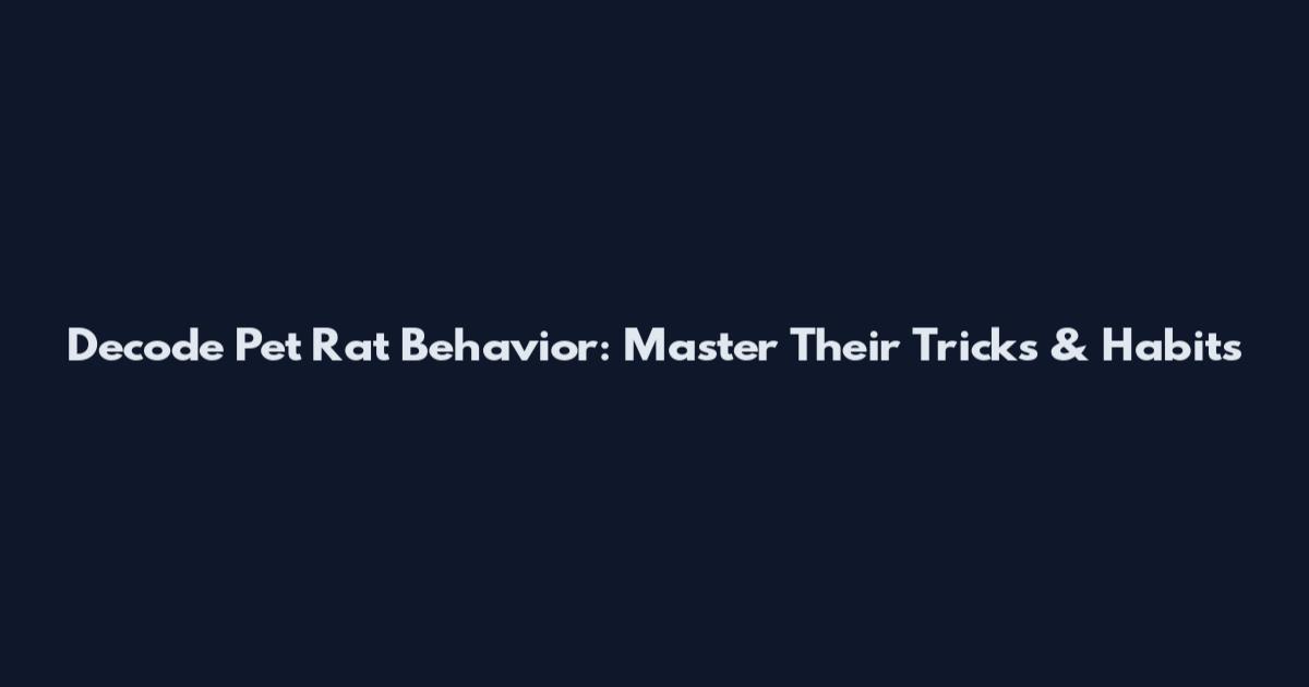Decode Pet Rat Behavior: Master Their Tricks & Habits