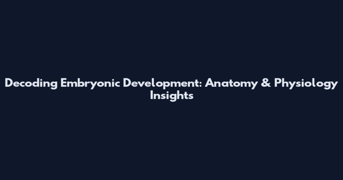 Decoding Embryonic Development: Anatomy & Physiology Insights