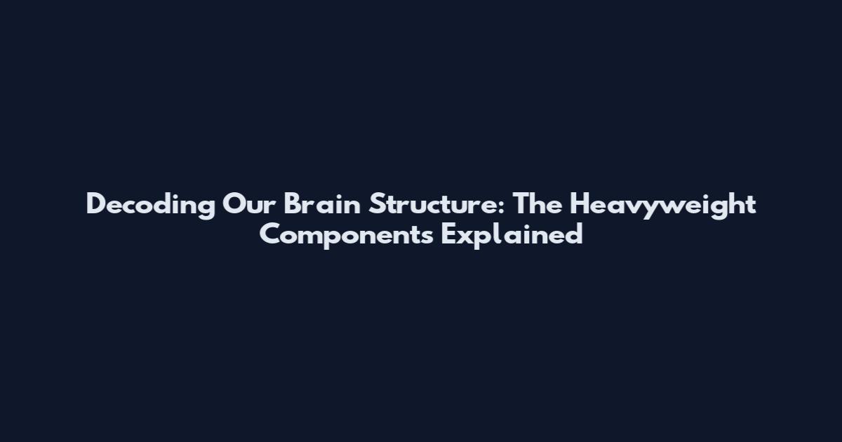 Decoding Our Brain Structure: The Heavyweight Components Explained