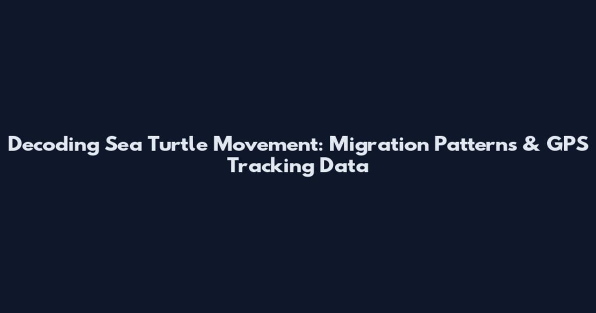 Decoding Sea Turtle Movement: Migration Patterns & GPS Tracking Data