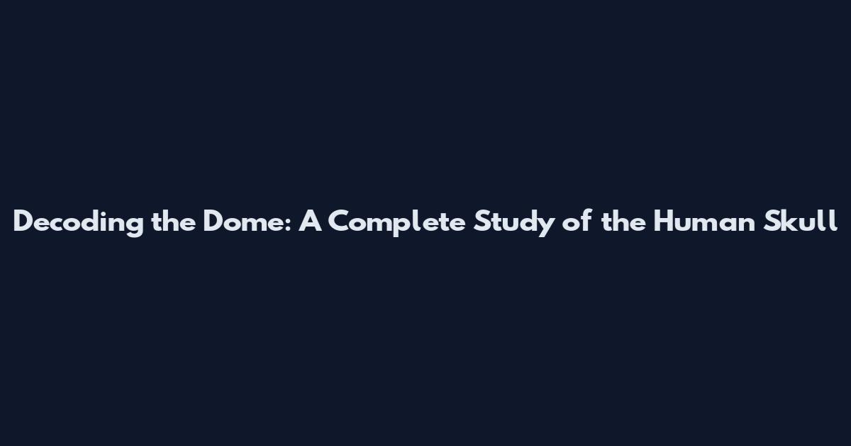Decoding the Dome: A Complete Study of the Human Skull