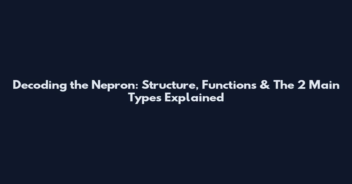 Decoding the Nepron: Structure, Functions & The 2 Main Types Explained