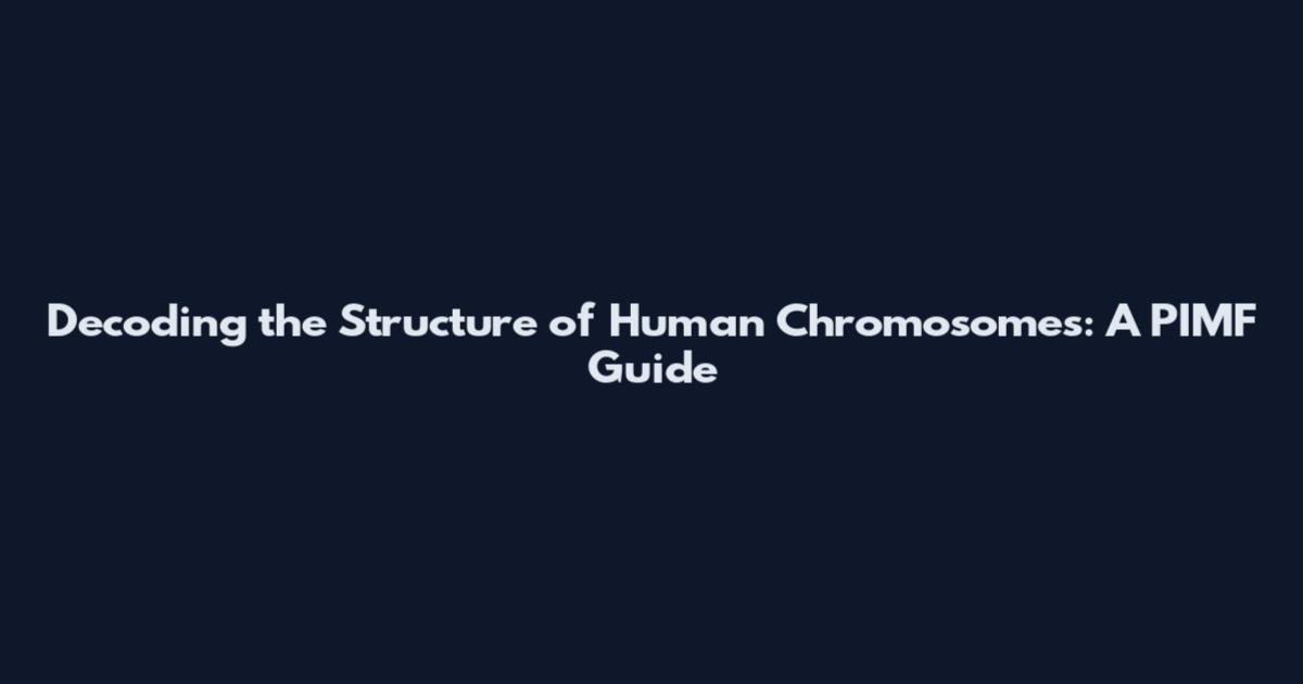 Decoding the Structure of Human Chromosomes: A PIMF Guide
