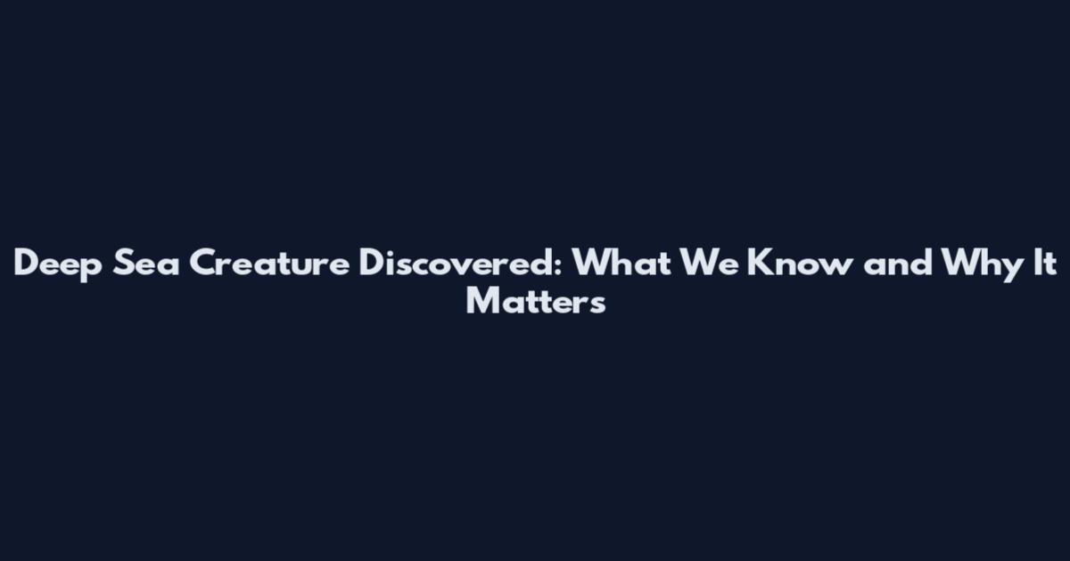 Deep Sea Creature Discovered: What We Know and Why It Matters