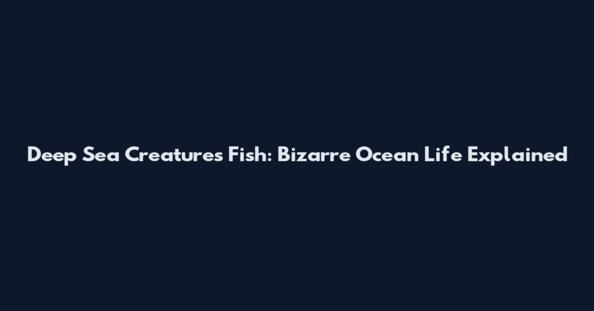 Deep Sea Creatures Fish: Bizarre Ocean Life Explained