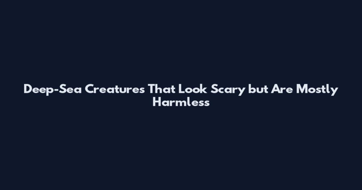 Deep-Sea Creatures That Look Scary but Are Mostly Harmless