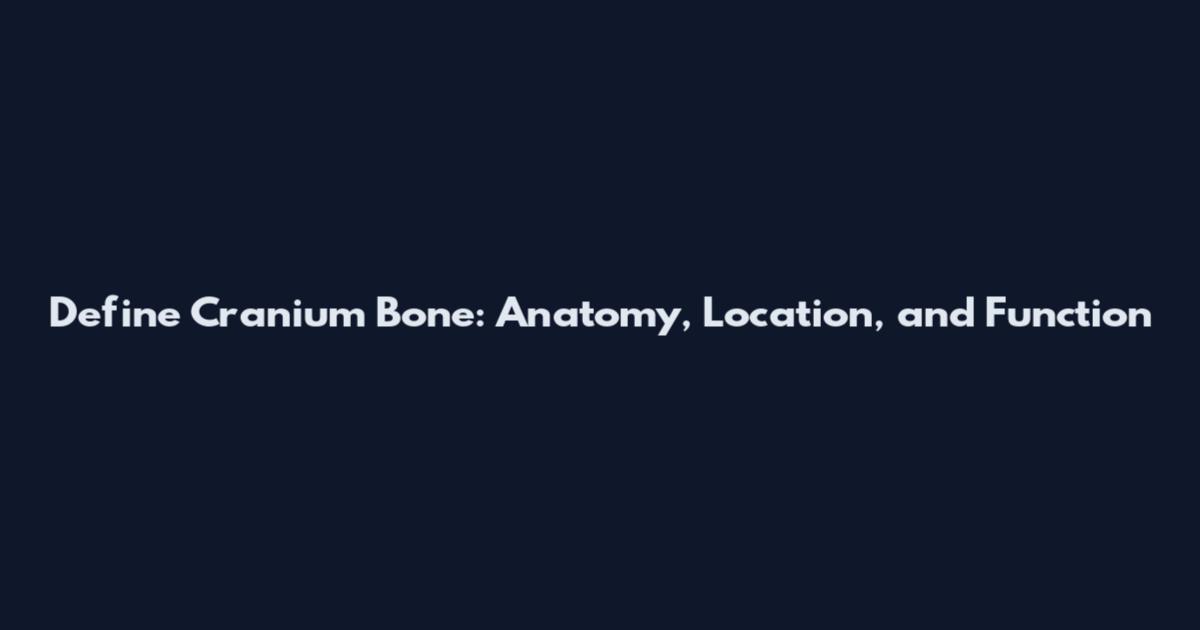 Define Cranium Bone: Anatomy, Location, and Function