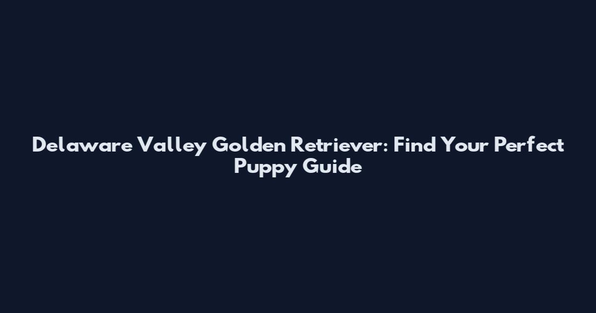 Delaware Valley Golden Retriever: Find Your Perfect Puppy Guide