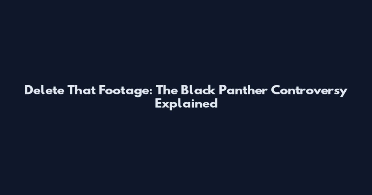 Delete That Footage: The Black Panther Controversy Explained