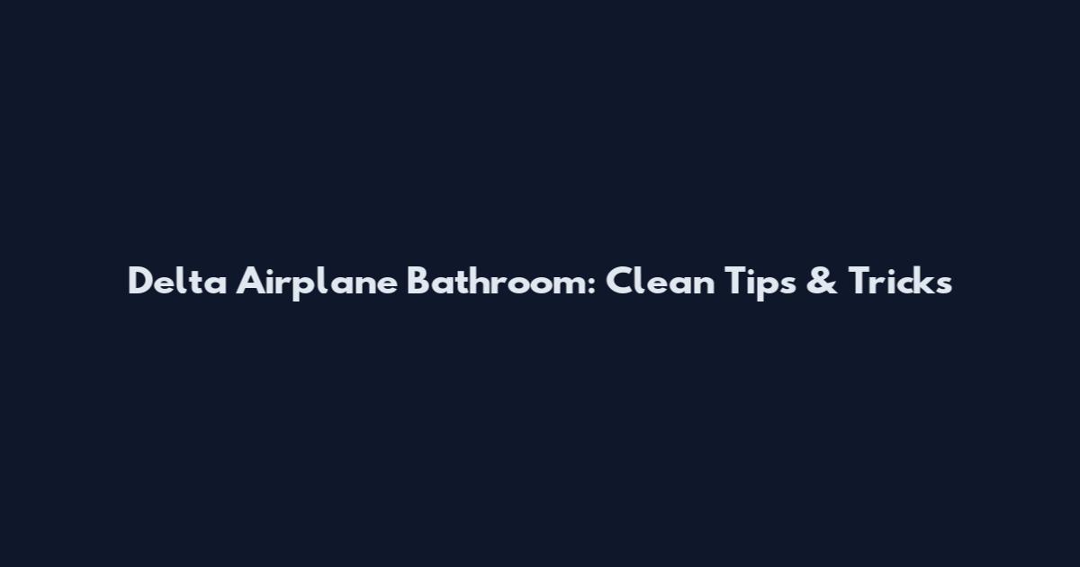 Delta Airplane Bathroom: Clean Tips & Tricks