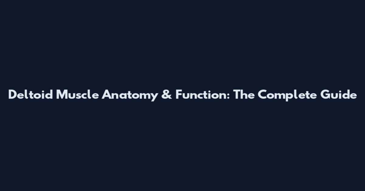 Deltoid Muscle Anatomy & Function: The Complete Guide