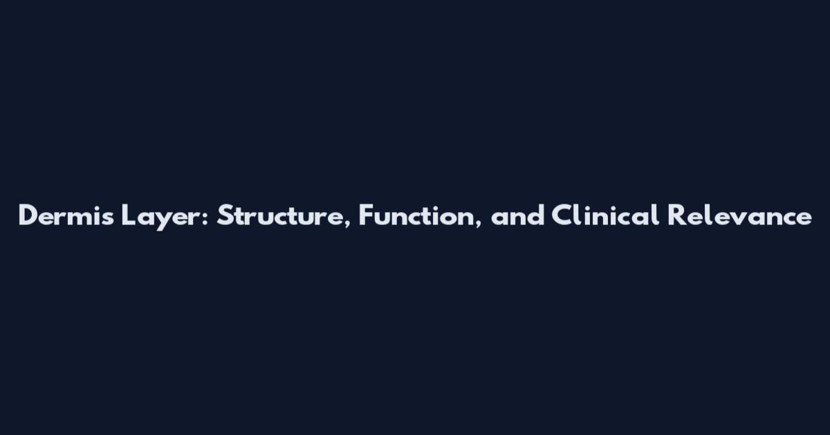 Dermis Layer: Structure, Function, and Clinical Relevance