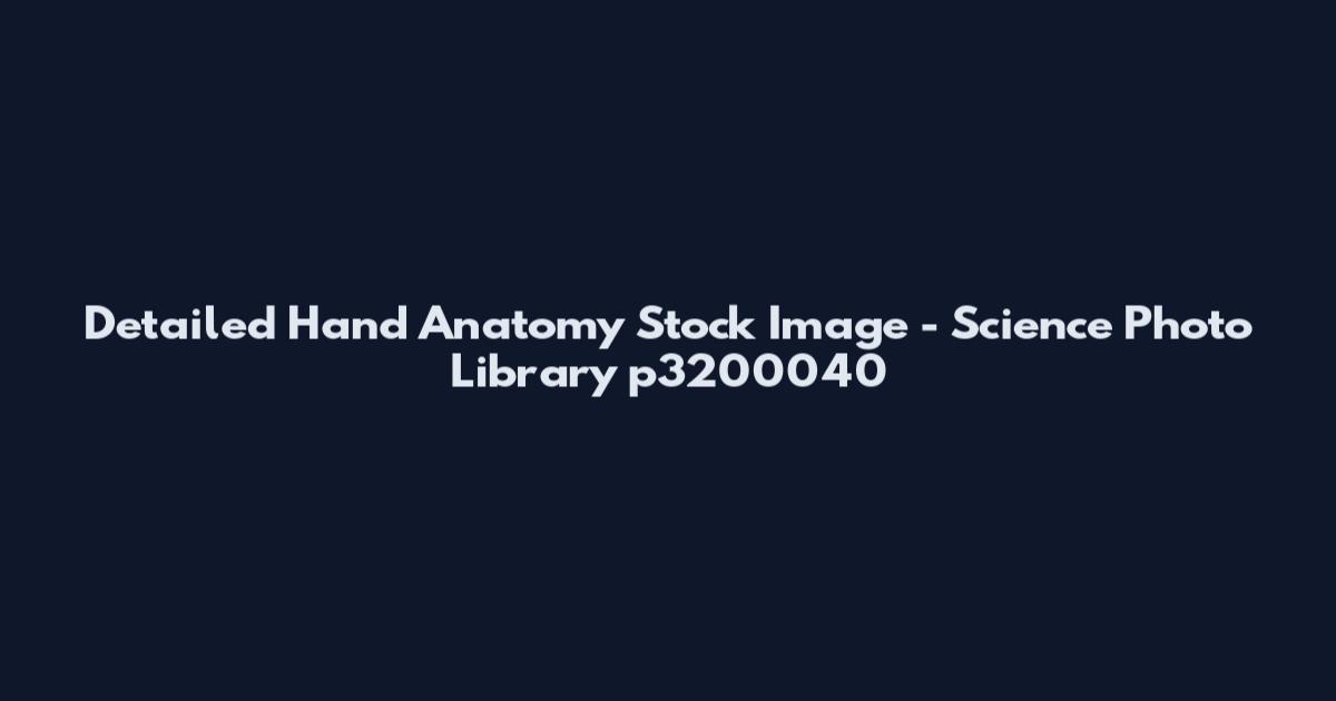 Detailed Hand Anatomy Stock Image - Science Photo Library p3200040