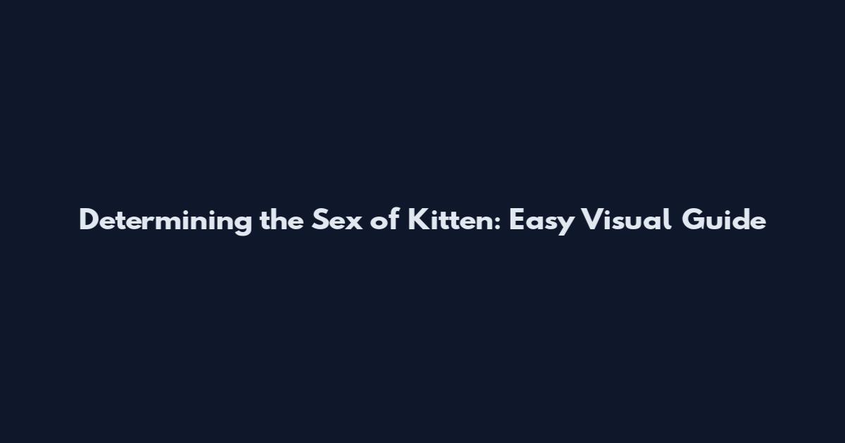 Determining the Sex of Kitten: Easy Visual Guide