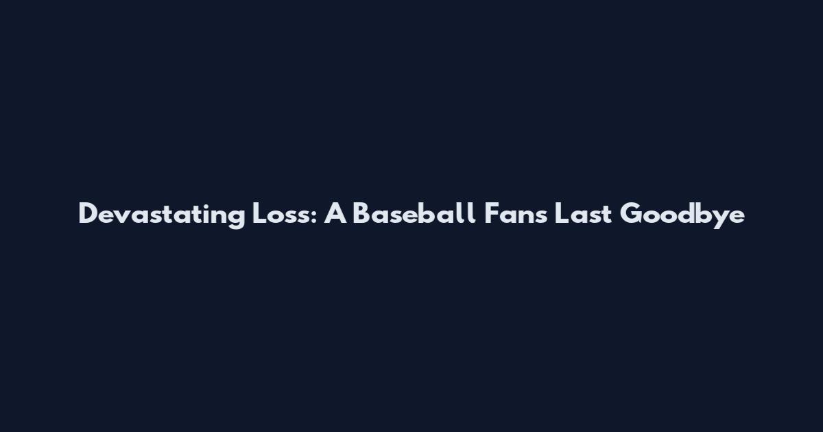Devastating Loss: A Baseball Fan's Last Goodbye