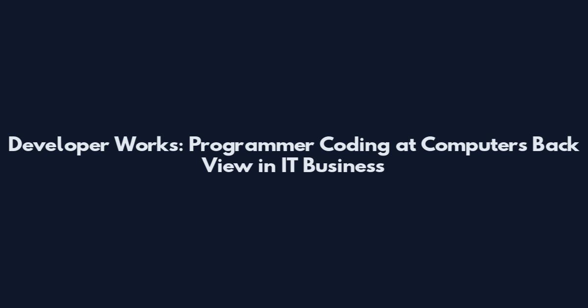 Developer Works: Programmer Coding at Computers Back View in IT Business