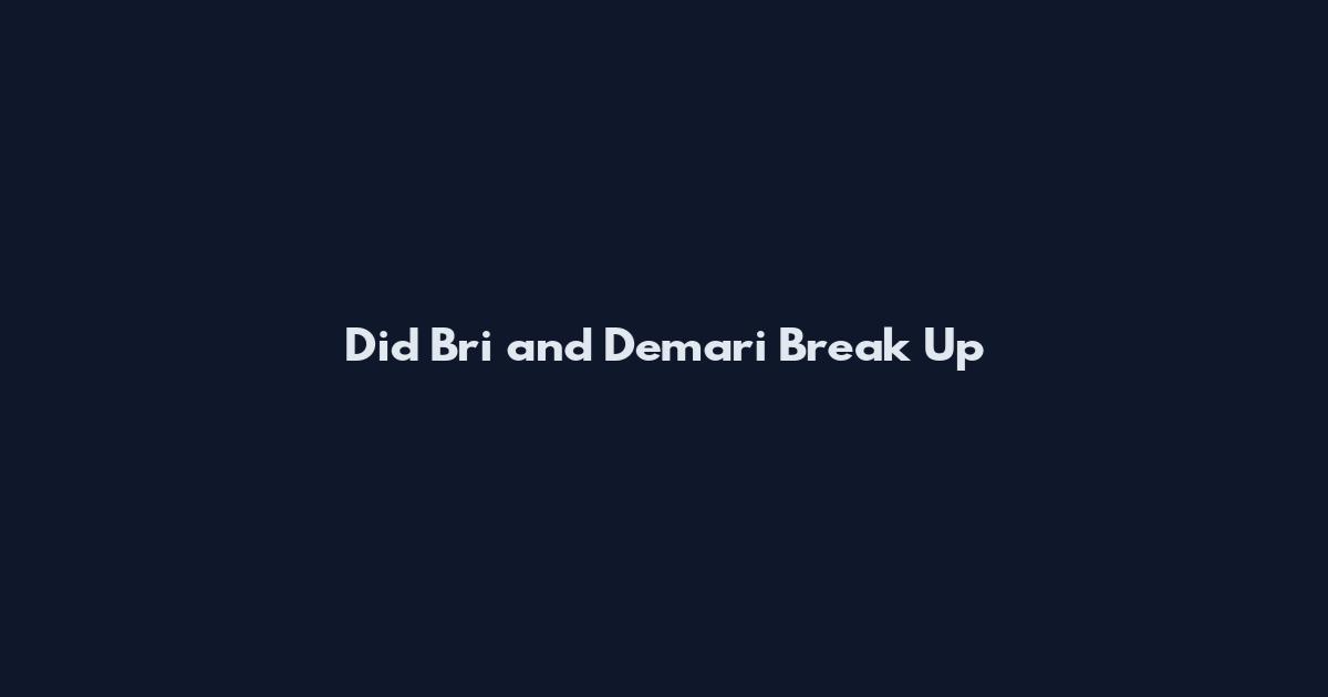 Did Bri and Demari Break Up