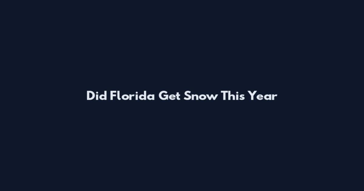 Did Florida Get Snow This Year