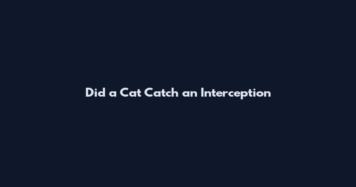 Did a Cat Catch an Interception