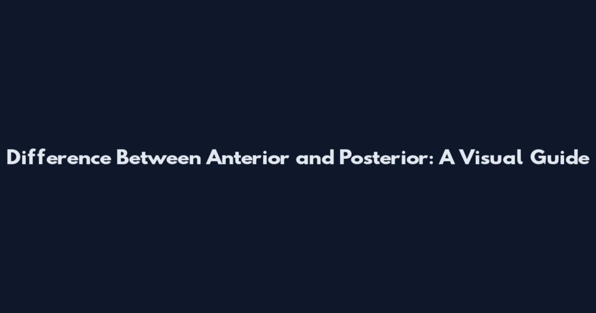 Difference Between Anterior and Posterior: A Visual Guide