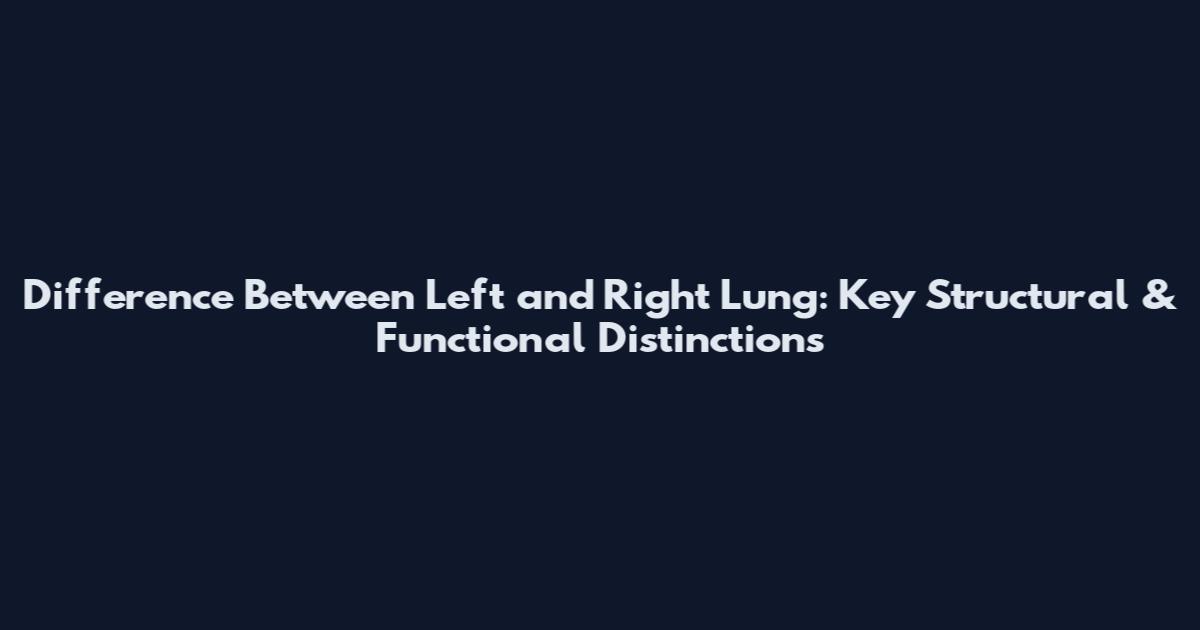 Difference Between Left and Right Lung: Key Structural & Functional Distinctions