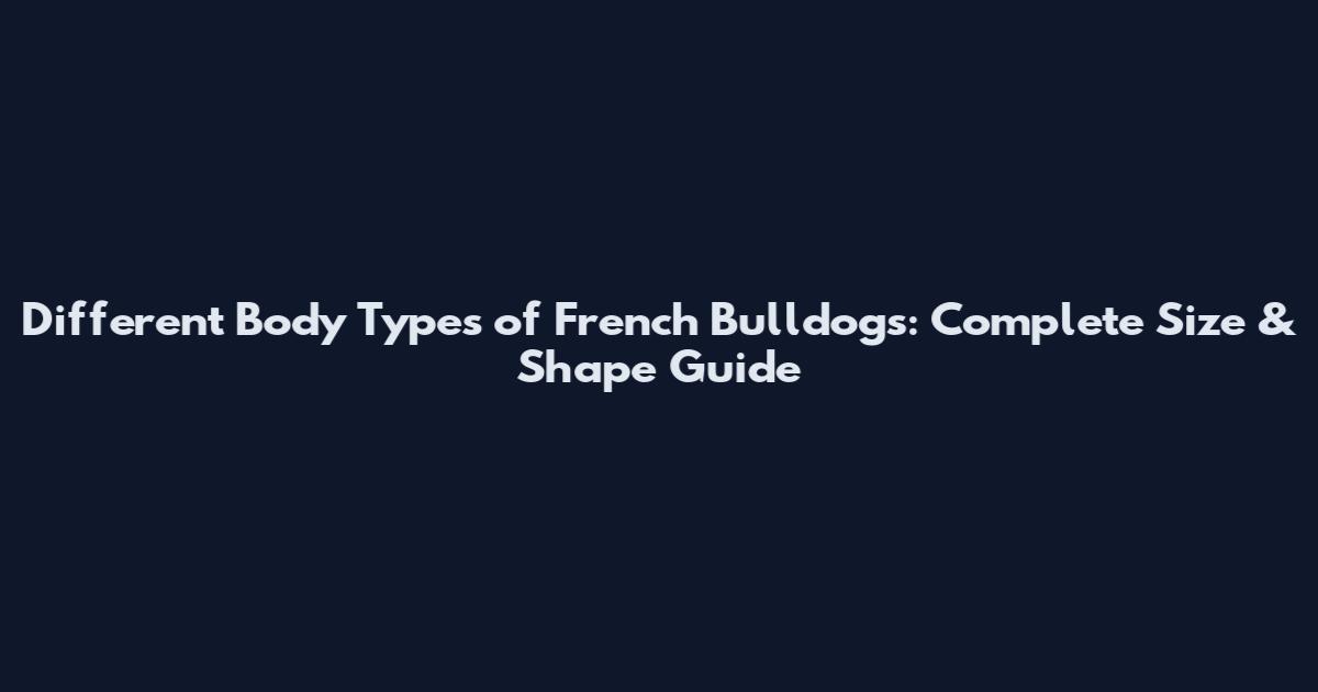 Different Body Types of French Bulldogs: Complete Size & Shape Guide